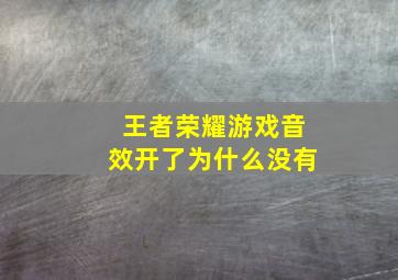 王者荣耀游戏音效开了为什么没有