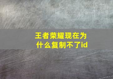 王者荣耀现在为什么复制不了id