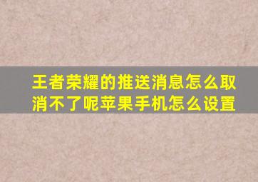 王者荣耀的推送消息怎么取消不了呢苹果手机怎么设置