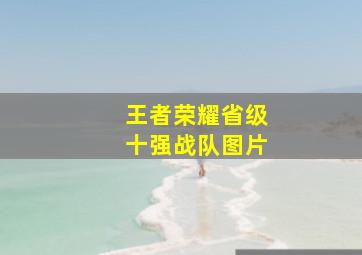 王者荣耀省级十强战队图片