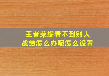 王者荣耀看不到别人战绩怎么办呢怎么设置