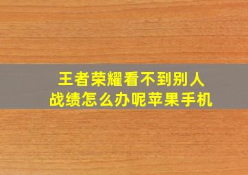 王者荣耀看不到别人战绩怎么办呢苹果手机