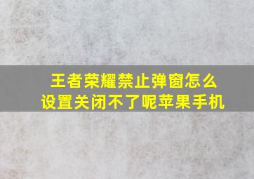 王者荣耀禁止弹窗怎么设置关闭不了呢苹果手机