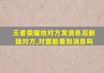 王者荣耀给对方发消息后删除对方,对面能看到消息吗