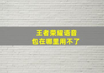 王者荣耀语音包在哪里用不了