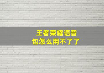 王者荣耀语音包怎么用不了了