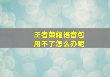 王者荣耀语音包用不了怎么办呢