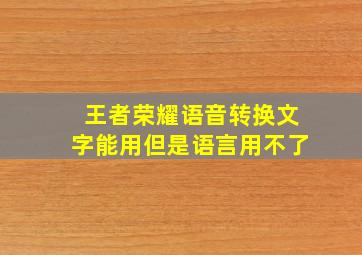 王者荣耀语音转换文字能用但是语言用不了