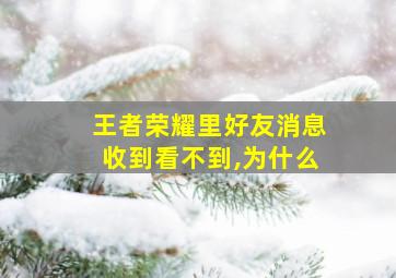 王者荣耀里好友消息收到看不到,为什么