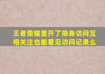 王者荣耀里开了隐身访问互相关注也能看见访问记录么