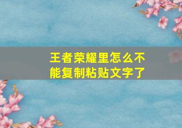 王者荣耀里怎么不能复制粘贴文字了