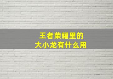 王者荣耀里的大小龙有什么用