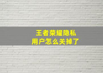 王者荣耀隐私用户怎么关掉了