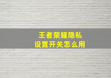 王者荣耀隐私设置开关怎么用