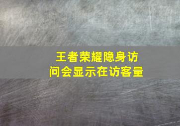 王者荣耀隐身访问会显示在访客量