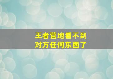 王者营地看不到对方任何东西了