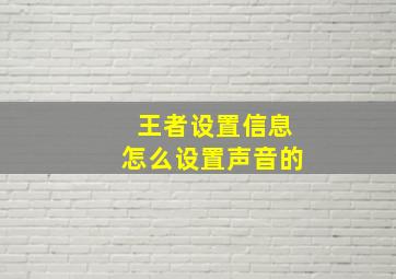 王者设置信息怎么设置声音的