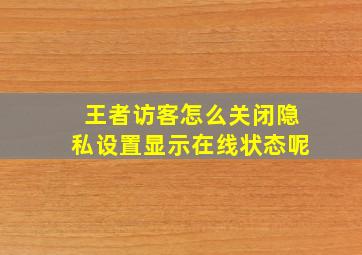 王者访客怎么关闭隐私设置显示在线状态呢