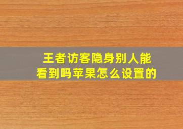 王者访客隐身别人能看到吗苹果怎么设置的