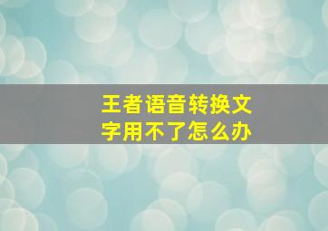 王者语音转换文字用不了怎么办