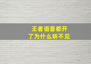 王者语音都开了为什么听不见