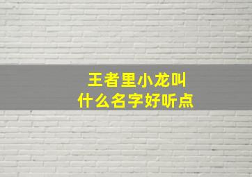 王者里小龙叫什么名字好听点