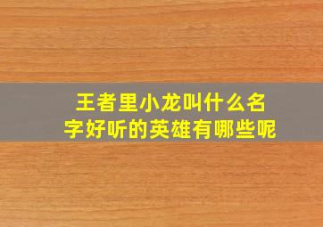 王者里小龙叫什么名字好听的英雄有哪些呢