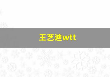 王艺迪wtt