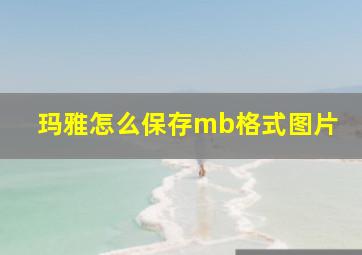 玛雅怎么保存mb格式图片