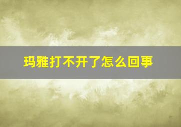 玛雅打不开了怎么回事