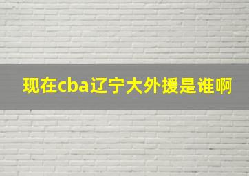 现在cba辽宁大外援是谁啊