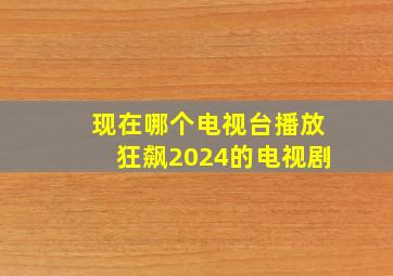 现在哪个电视台播放狂飙2024的电视剧