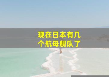 现在日本有几个航母舰队了