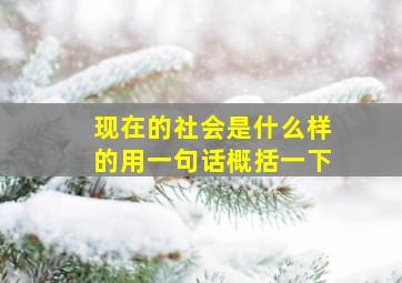 现在的社会是什么样的用一句话概括一下