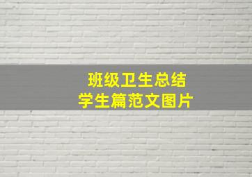 班级卫生总结学生篇范文图片