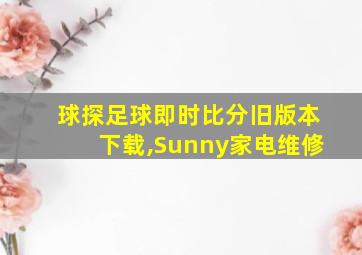 球探足球即时比分旧版本下载,Sunny家电维修