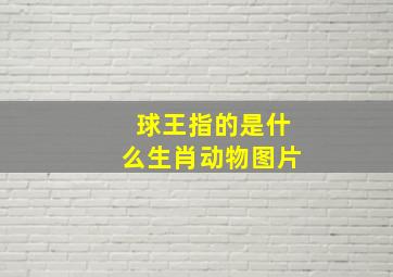 球王指的是什么生肖动物图片