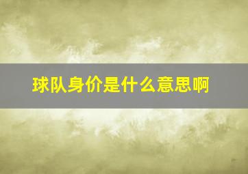 球队身价是什么意思啊