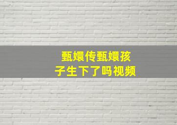 甄嬛传甄嬛孩子生下了吗视频