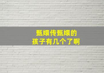 甄嬛传甄嬛的孩子有几个了啊