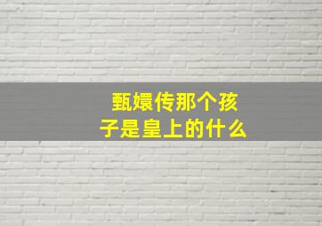 甄嬛传那个孩子是皇上的什么