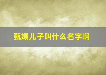 甄嬛儿子叫什么名字啊