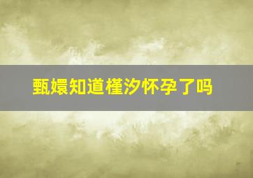 甄嬛知道槿汐怀孕了吗