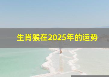 生肖猴在2025年的运势