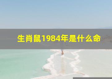 生肖鼠1984年是什么命