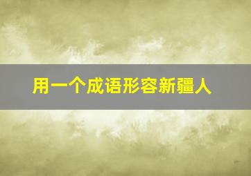 用一个成语形容新疆人