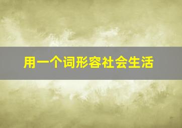 用一个词形容社会生活