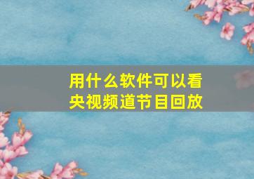 用什么软件可以看央视频道节目回放