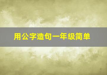 用公字造句一年级简单