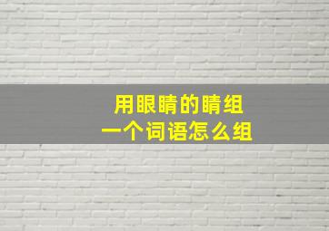 用眼睛的睛组一个词语怎么组